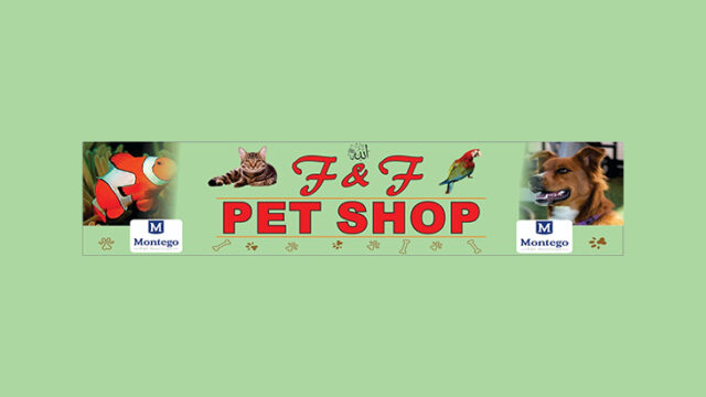 f&f petshop